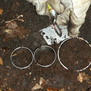 Taking samples of the organic layer using a sampling cylinder on one of the 8 satellites of the National Forest Soil Inventory.