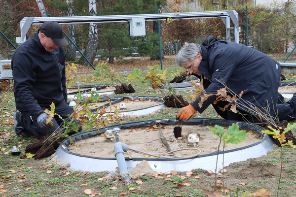 Zwei Mitarbeiter beim Bepflanzen der Lysimeter im Drylab. Zwei Mitarbeiter beim Bepflanzen der Lysimeter im Drylab.