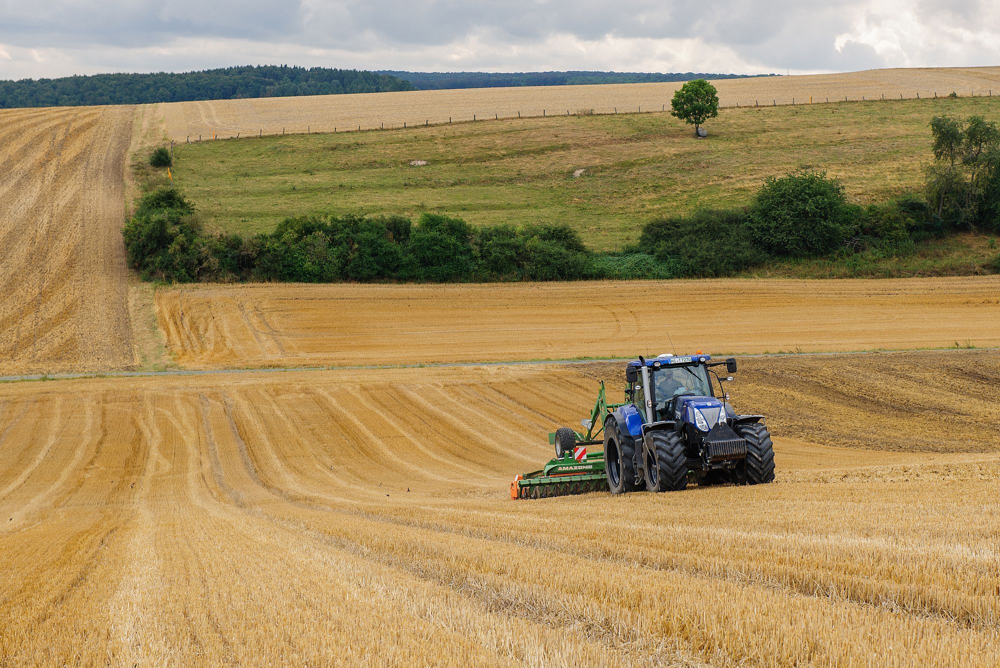 Traktor mit Scheibenegge auf einem Weizenstoppelfeld 