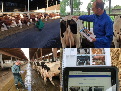 [Translate to English:] 