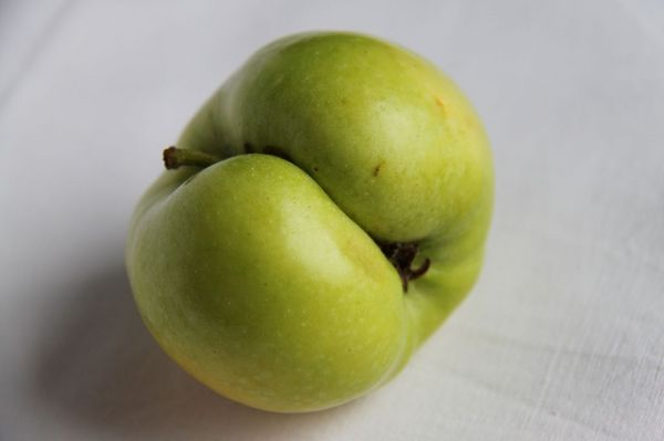 Ein grüner Apfel mit einer tiefen Einkerbung
