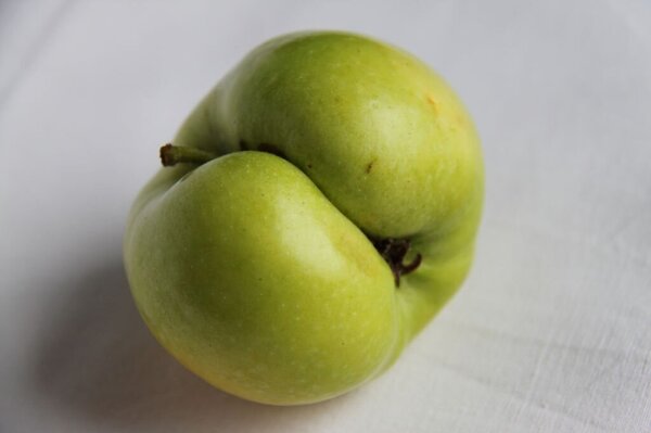 A green apple with a deep notch