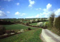 CarboHedge - Hedgerows and field copses in the emission inventories – Potential for carbon sequestration