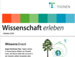 Die erste Seite vom Newsletter