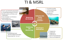 Implementation of the Marine Strategy Framework directive (MSFD)