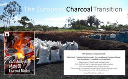 The European Charcoal Transition