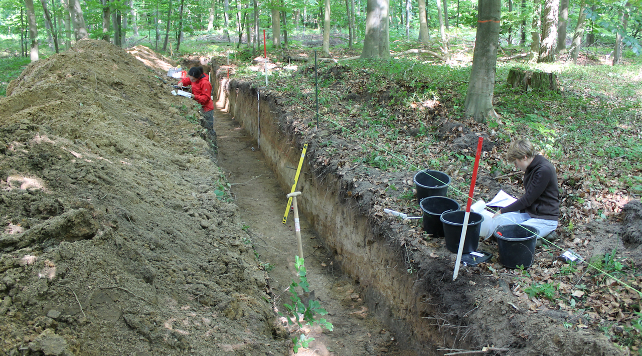 [Translate to English:]