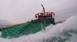 What are the effects of a bottom trawl fisheries? (MGF-Ostsee-Fisch)