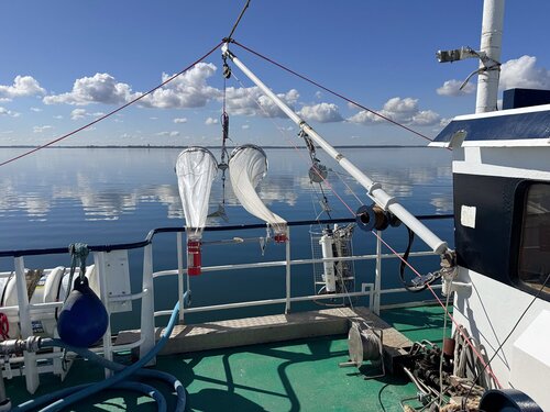 Bongo-Netz für den Fang von Fischplankton, bereit für den Einsatz auf einem Forschungsschiff.