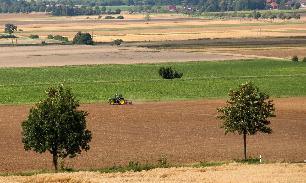 Landschaftsbild