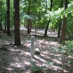 Experimental plot in a mixed pine-oak-beech stand with precipitation collectors Forest adaptation - mixed forests (INKA BB)