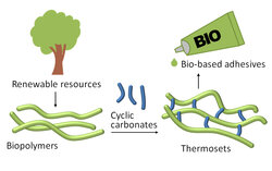 From Molecules to Materials - Biobased Adhesives