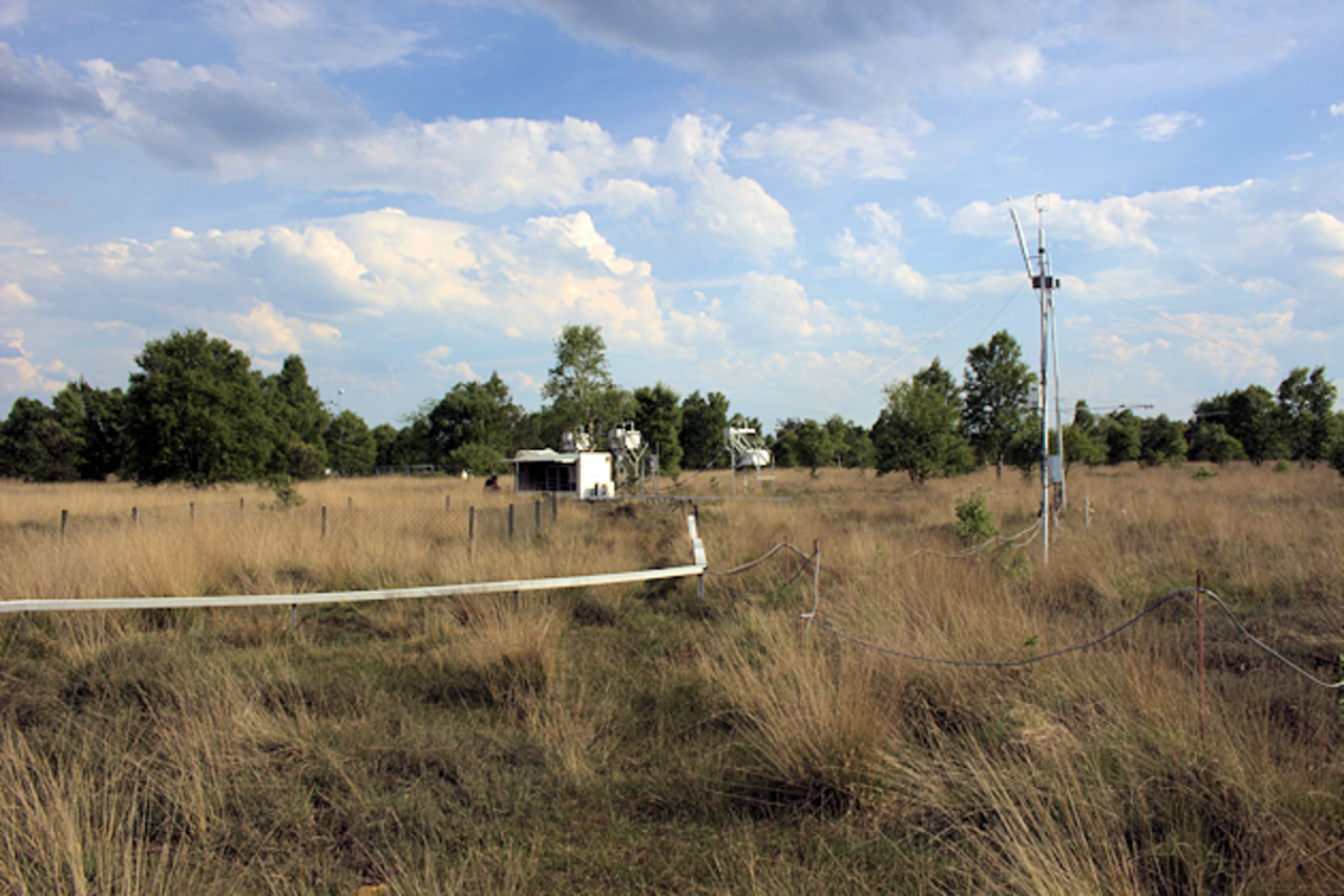 Greenhouse gas measurements in the Bourtanger Moor natural park