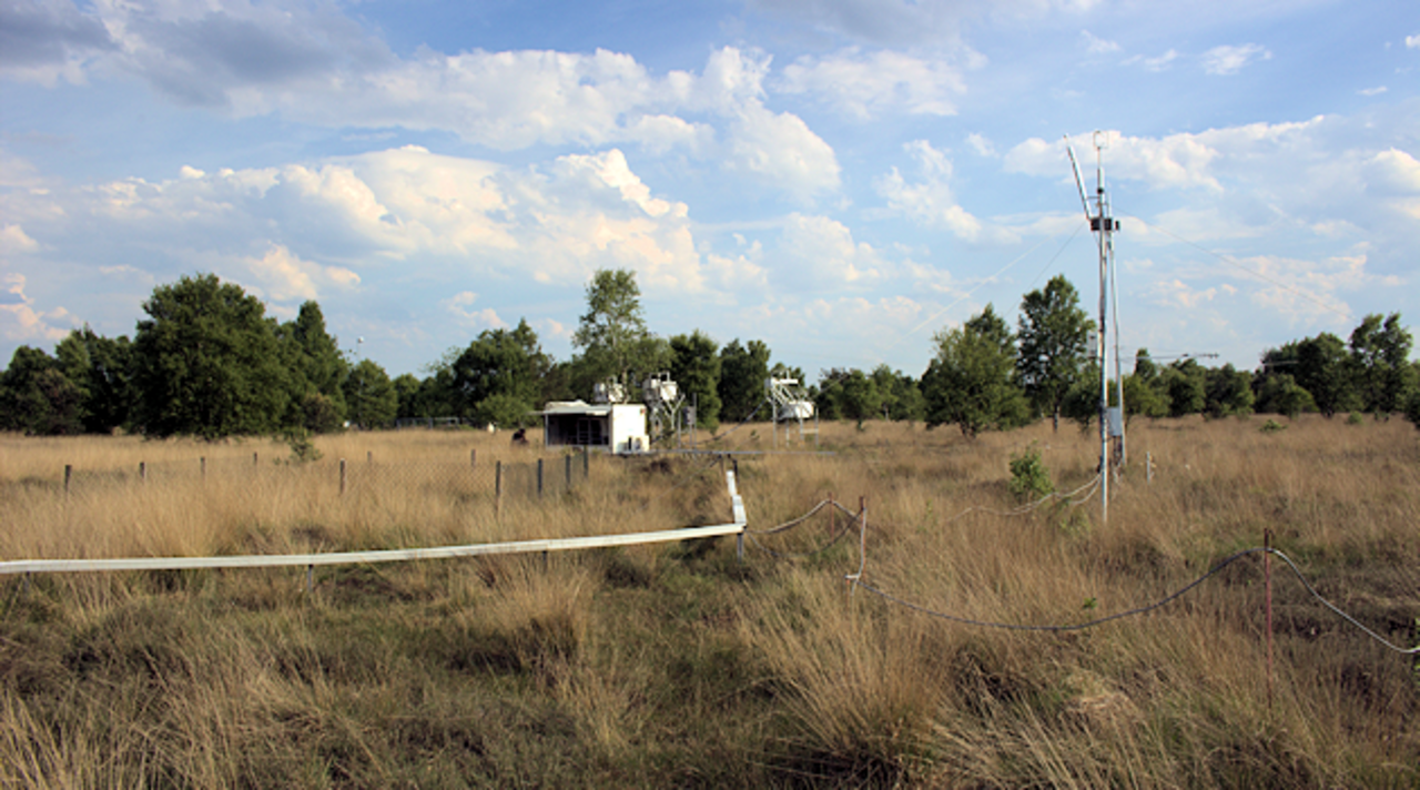 Greenhouse gas measurements in the Bourtanger Moor natural park