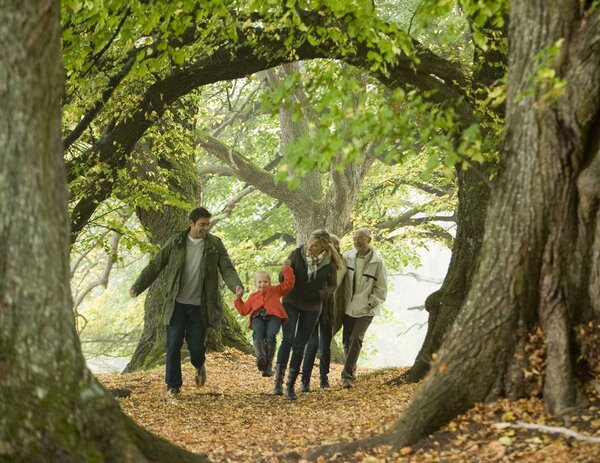 Familie beim Waldspaziergang