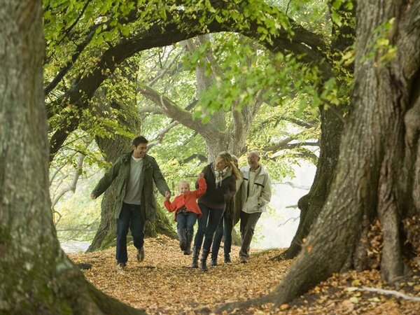 Familie beim Waldspaziergang