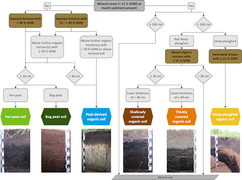 en: New publication about organic soils (BZE-LW data)
