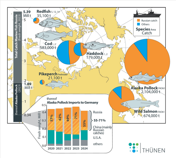 Graphic illustrating the importance of Russian marine fisheries
