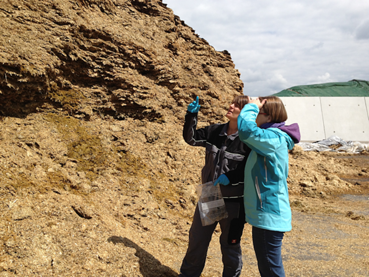 Inspektion von Substraten einer Biogasanlage für mikrobiologische Analysen
