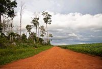 Landschaft bei Feliz Natal im Bundesstaat Mato Grosso in der zentralwestlichen Region Brasiliens