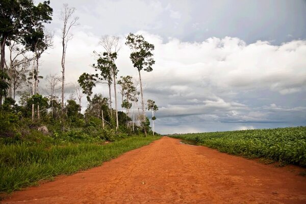Landschaft bei Feliz Natal im Bundesstaat Mato Grosso in der zentralwestlichen Region Brasiliens