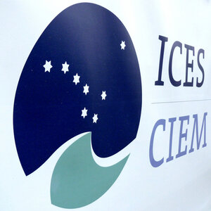ICES Logo ICES Logo