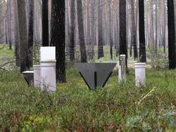 Forest Monitoring - more than just data