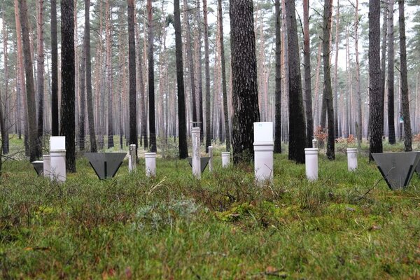 Litterfall traps and deposition samplers are distributed regularly across the intensive forest monitoring plots