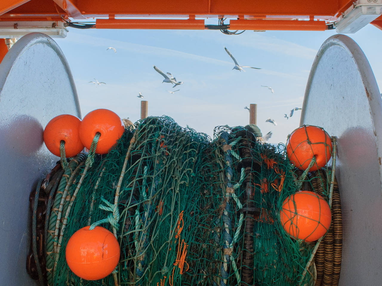 [Translate to English:] Netztrommel