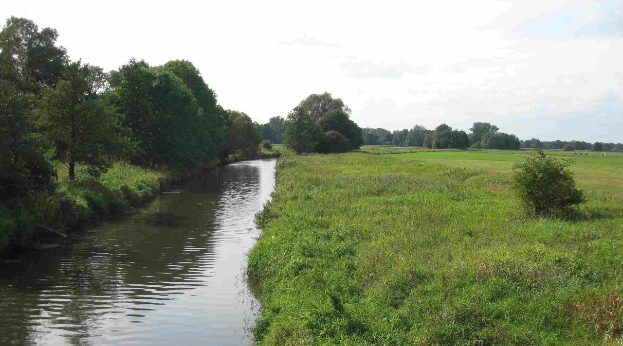 Riparian strips along the Wümme