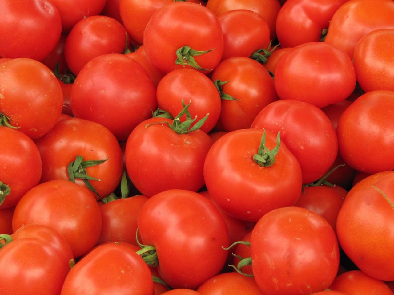 Lebensmittel (Tomaten)
