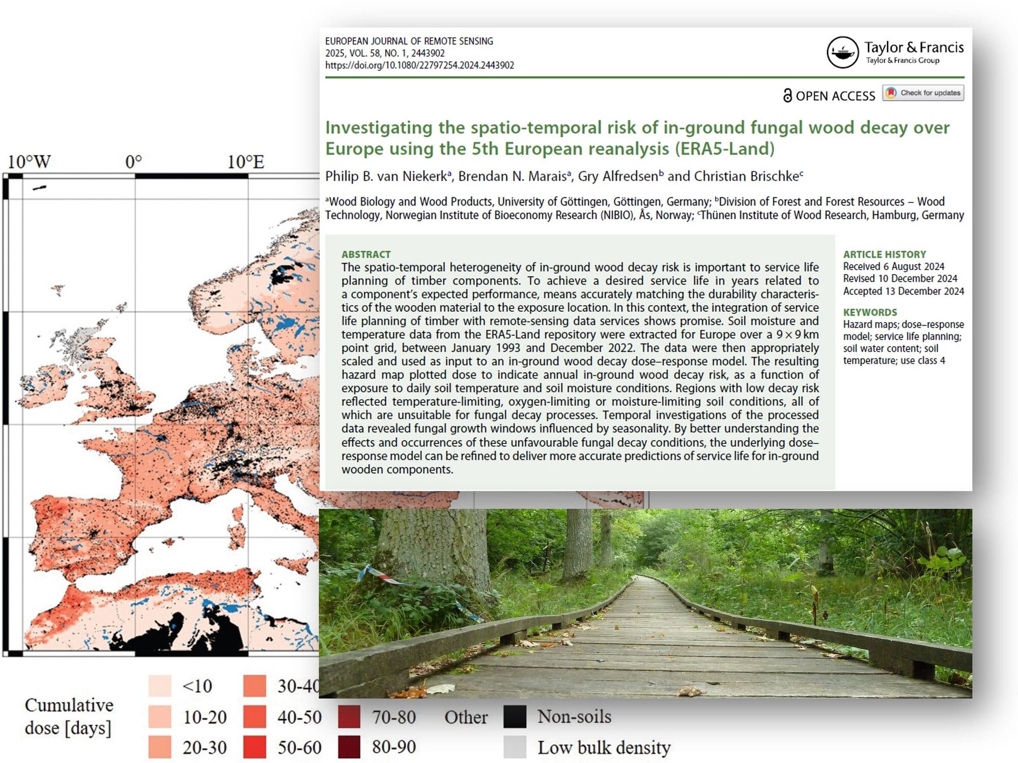 Räumliche und zeitliche Variabilität des Risikos für Holzbauteile im Boden durch Fäulepilze in Europa
