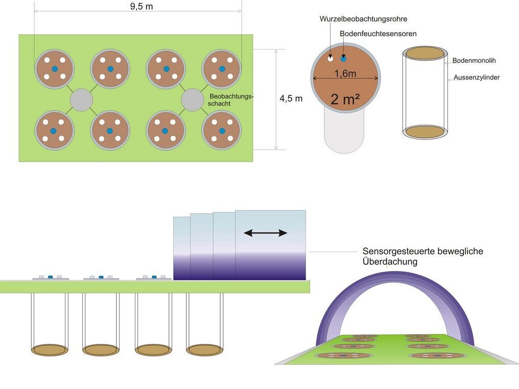 Skizze des "Drylabs" mit acht bepflanzbaren Bodensäulen (Lysimetern): Am Rand befindet sich eine ausziehbare, bewegliche Überdachung, die bei Regen - gesteuert durch einen Regensensor - automatisch über die Anlage fährt und danach wieder zurückgeht. Skizze des Freilandlabors