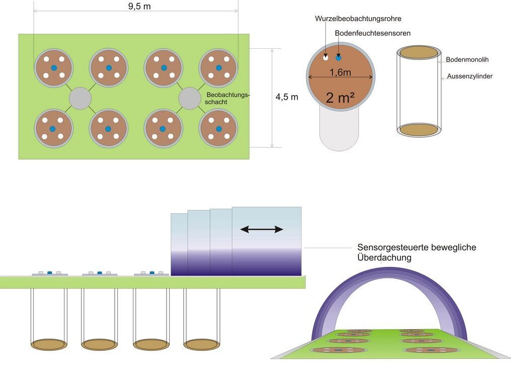 Sketch of the outdoor laboratory