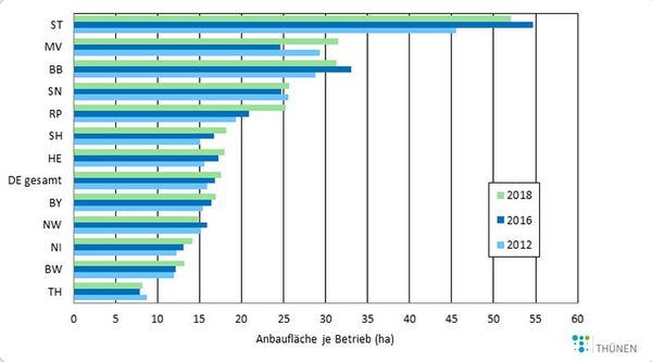 Durchschnittliche Anbaufläche von Gemüse pro Betrieb nach Bundesländern