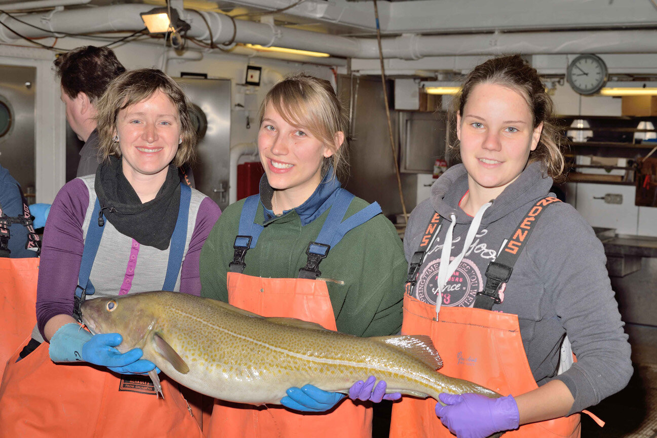 Die Studentinnen Angela, Nicole und Paulina halten einen großen Kabeljau. 
