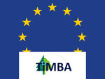 Timba logo and the European flag in the background