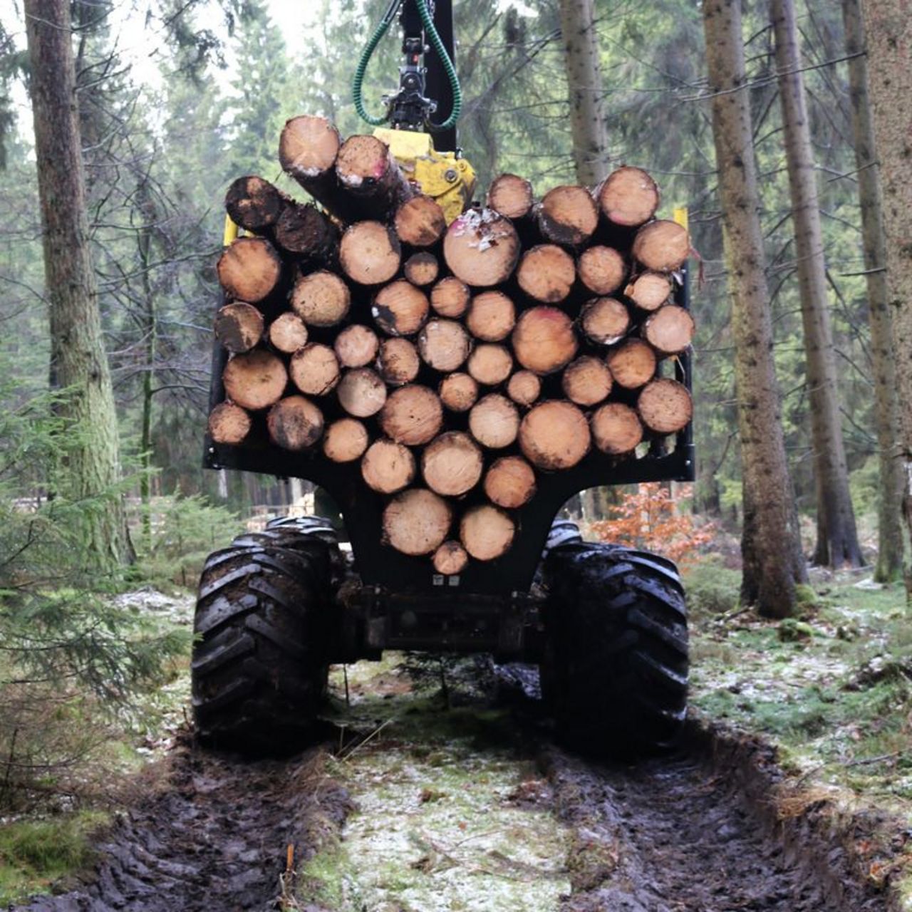 Loaded forwarder of the project attempts to drive in Solling (December 2017)