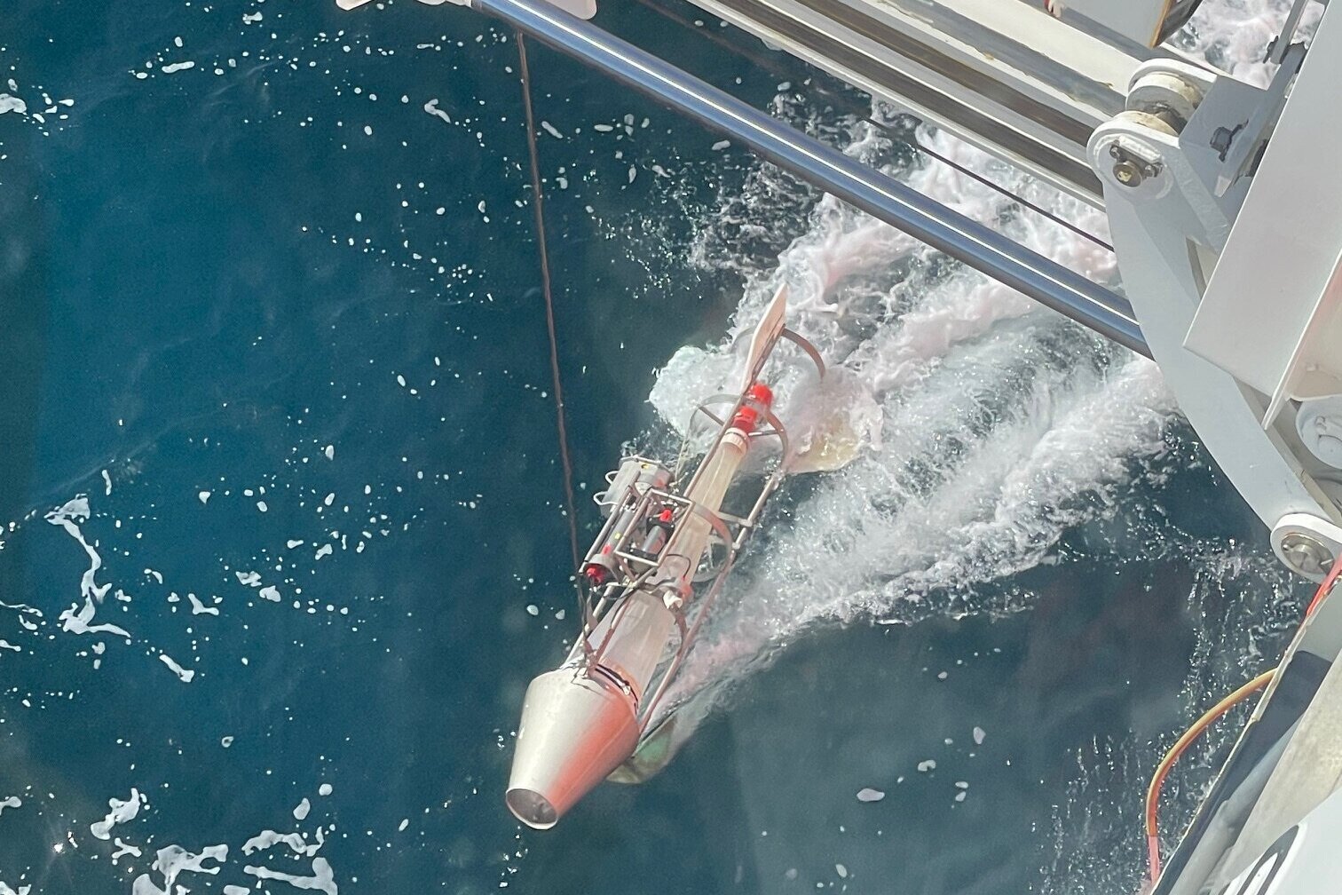 "Nackthai" an der Oberfläche "Nackthai" an der Wasseroberfläche.