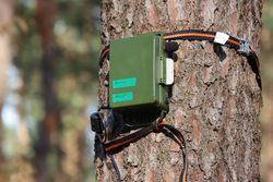 Integration (bio-)akustischer Methoden für die Quantifizierung biologischer Vielfalt in das Waldmonitoring (AkWamo)