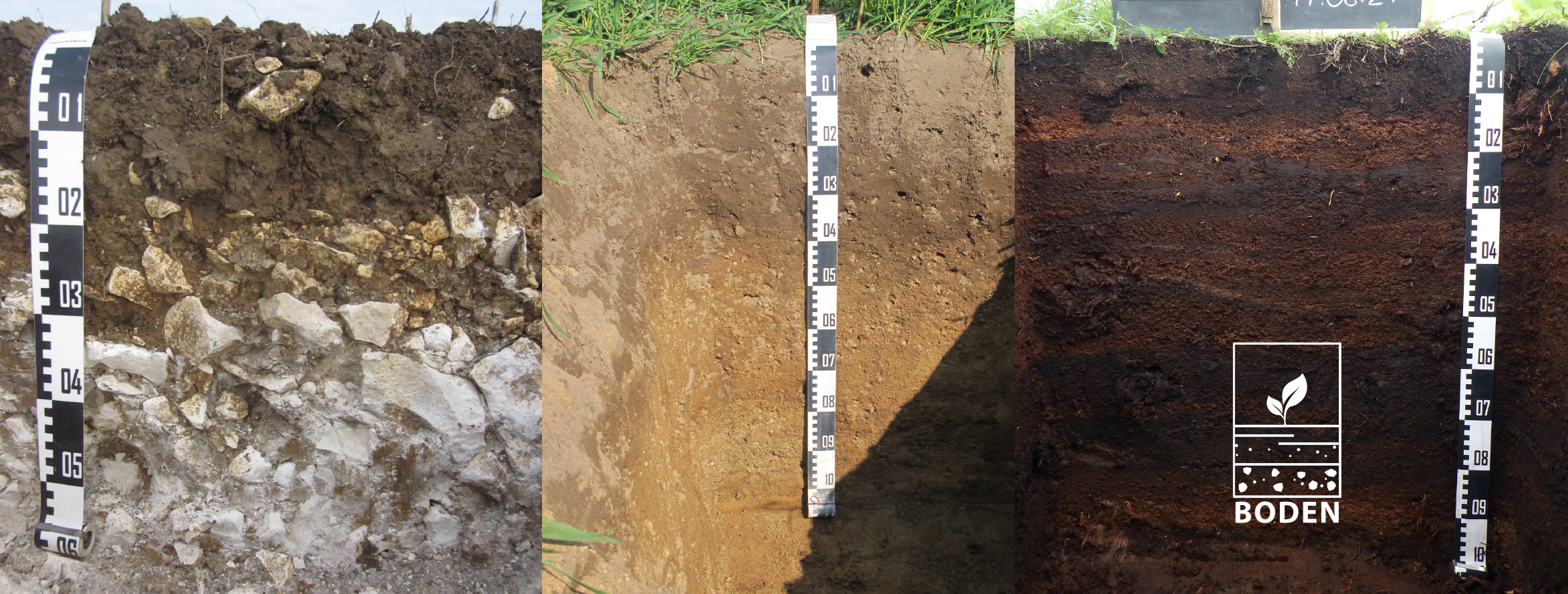 Drei Bodenprofile nebeneinander.