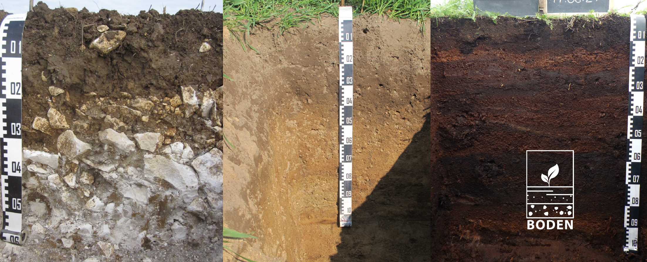 [Translate to English:] 