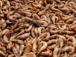 Alternative Crangon added value (AKW)