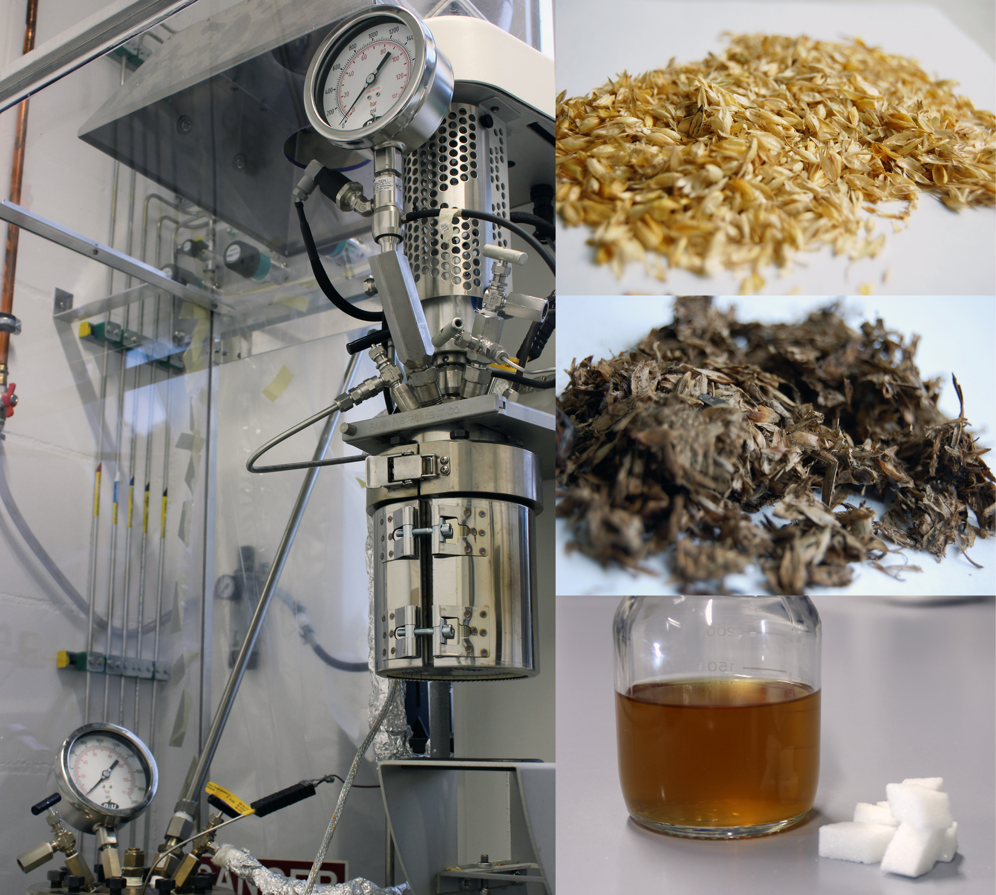 Biomasseaufschluss: Aufschlussreaktor, Biomasse (un- und vorbehandelt, verzuckert)