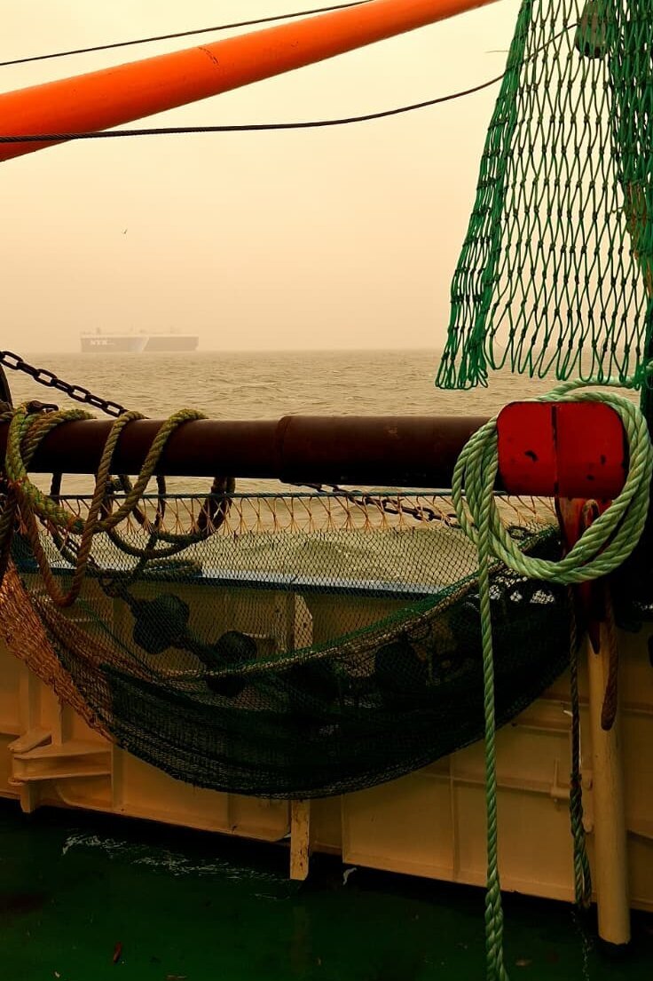 Blick über Netze an Bord auf die nebelige See.