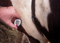 Heartrate monitor used to measure heart rate variability