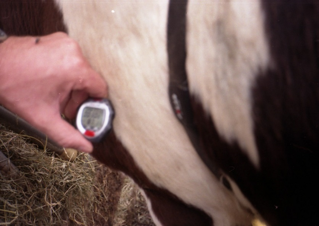 Heartrate monitor used to measure heart rate variability