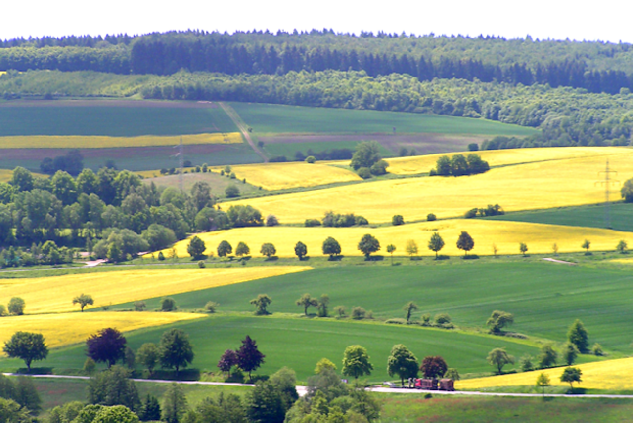 Agrarlandschaft bei Schönhagen (Ostsee)
