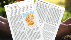 Zahlen & Fakten 01/2025