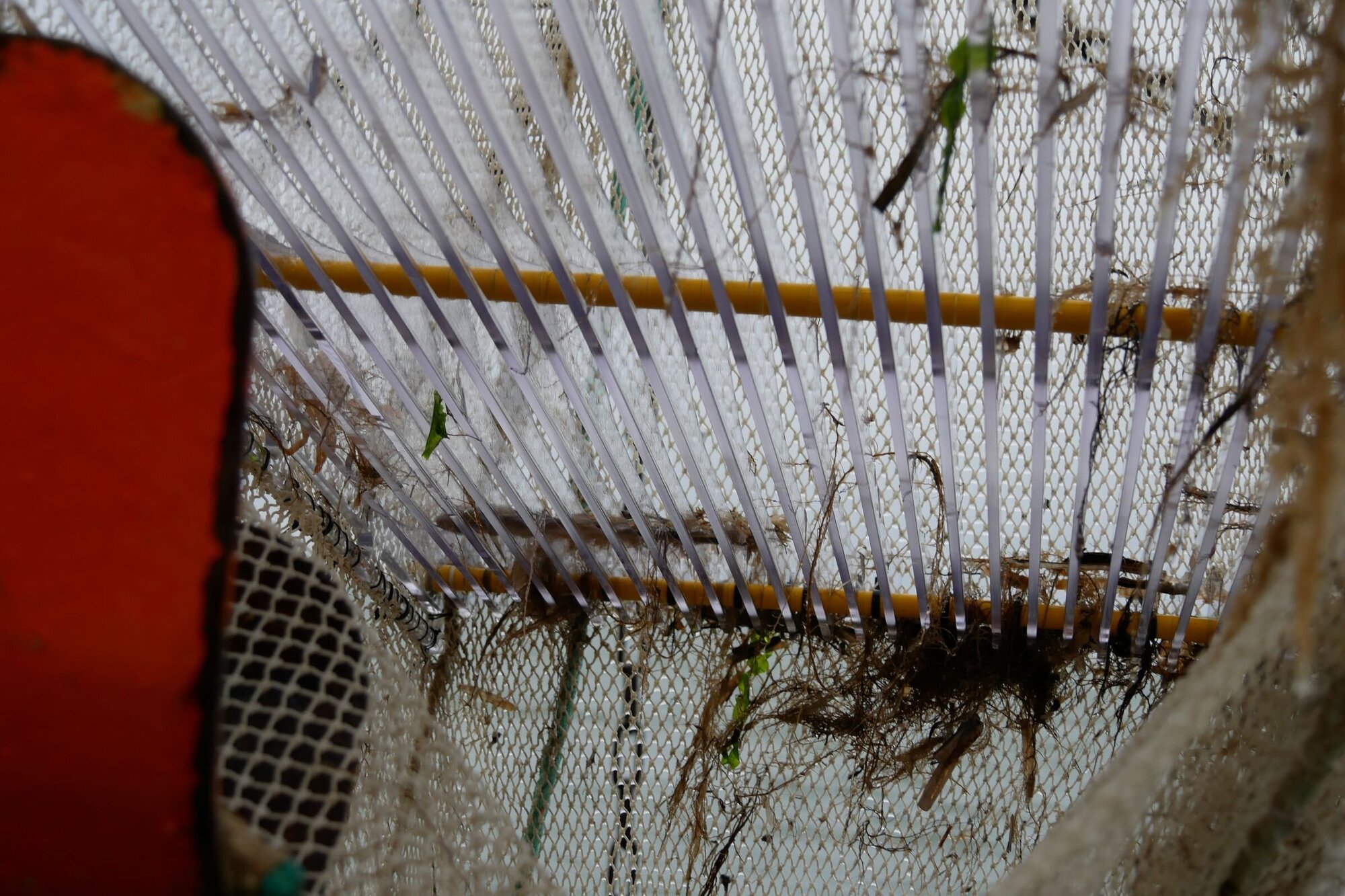 Nahaufnahme des 16 mm KingGrids im Netz. Blick auf das im Netz eingebaute Gitter.